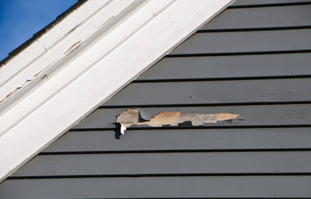 Best Vinyl Siding Installation  in Bell Gardens, CA